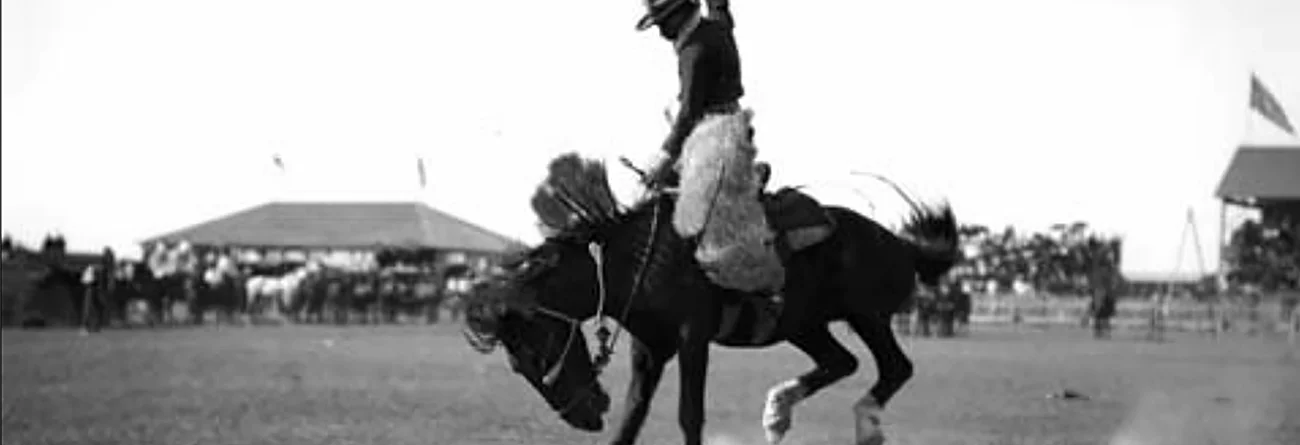 What’s the Deal with the Horse?